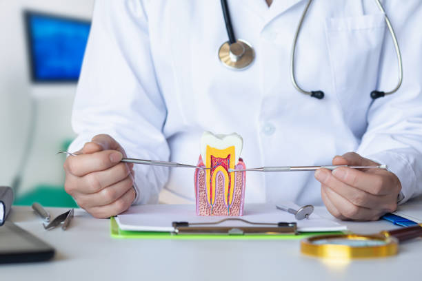 Best Emergency Orthodontic Services in Pocahontas, AR